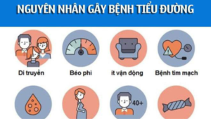 nguyên nhân bệnh tiểu đường