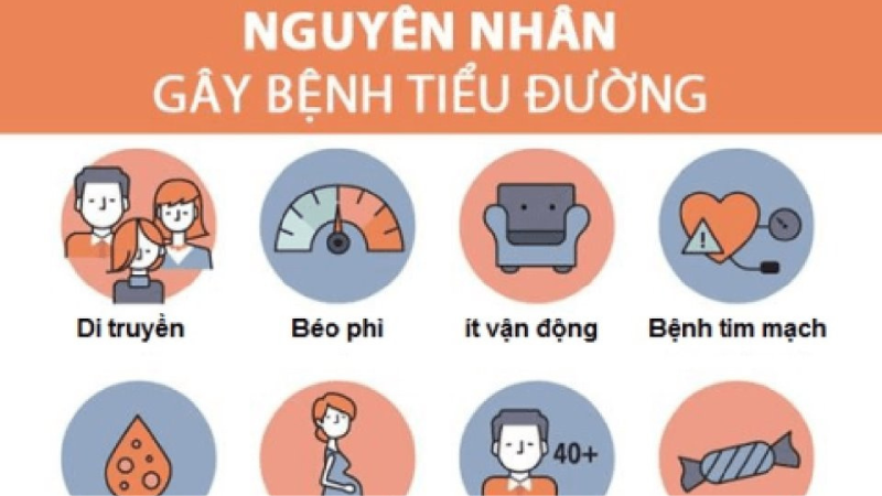 nguyên nhân bệnh tiểu đường