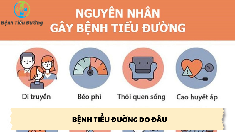 bệnh tiểu đường do đâu